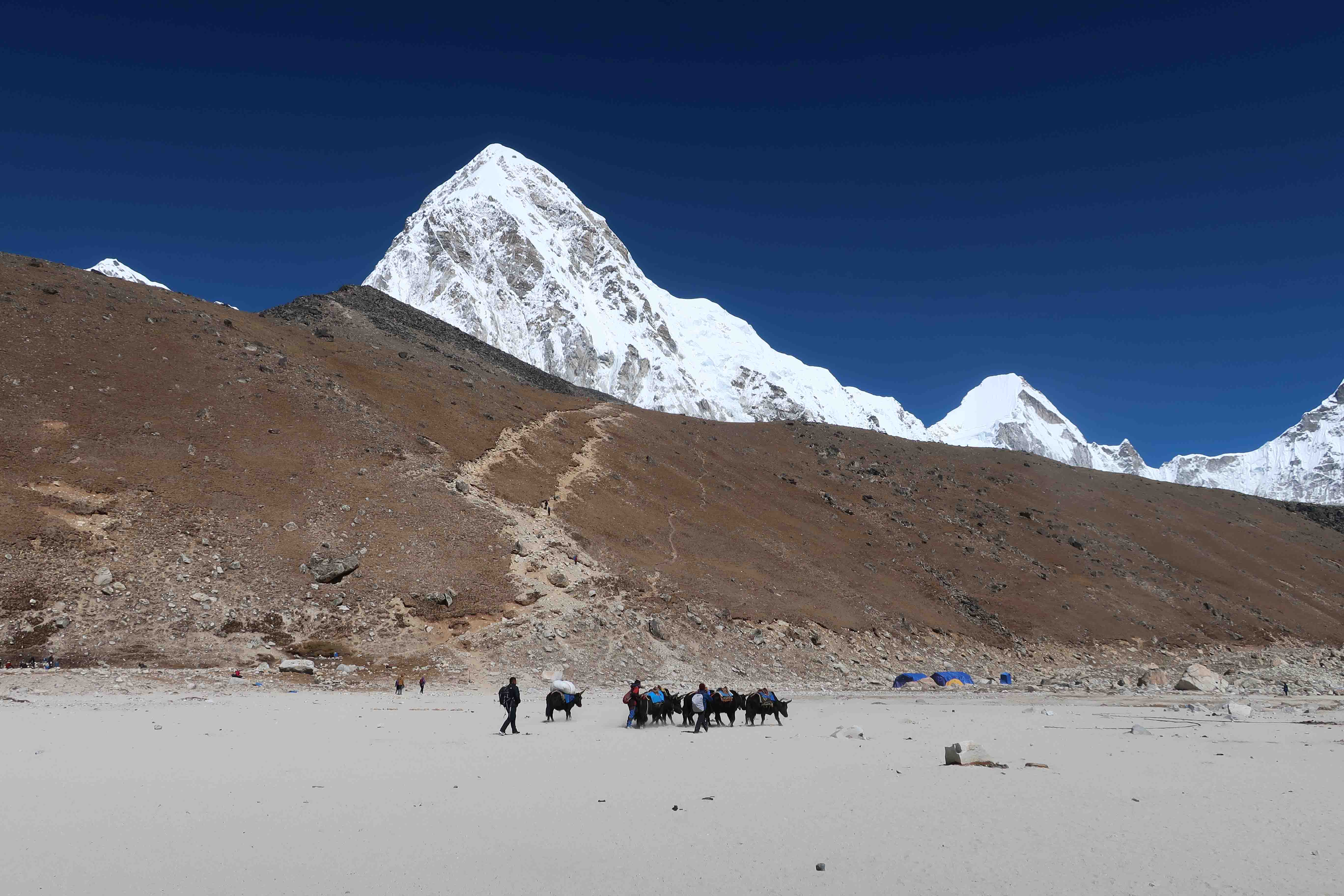 Trail Path to Kala Pathar, Everest Base Camp 2018