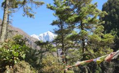 Namche Bazaar to Lukla, Everest Base Camp Honeymoon (Day Seventeen)